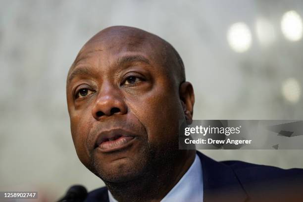 Tim Scott