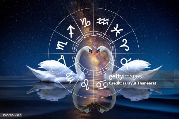Daily Horoscope